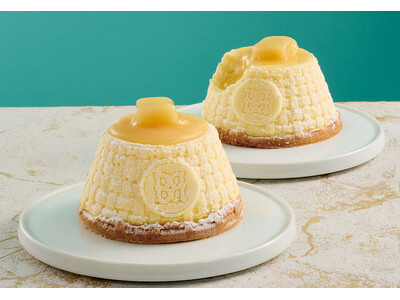 【東京駅限定】バターがなだれとろけ出す！？新感覚チーズケーキが新登場＜バターステイツ by銀のぶどう＞