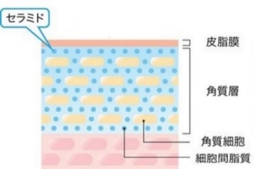 日本初　４種の医薬部外品有効成分配合美容液の安定化に成功