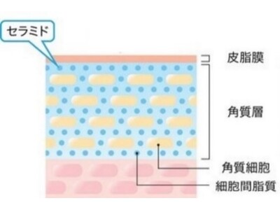 日本初　４種の医薬部外品有効成分配合美容液の安定化に成功