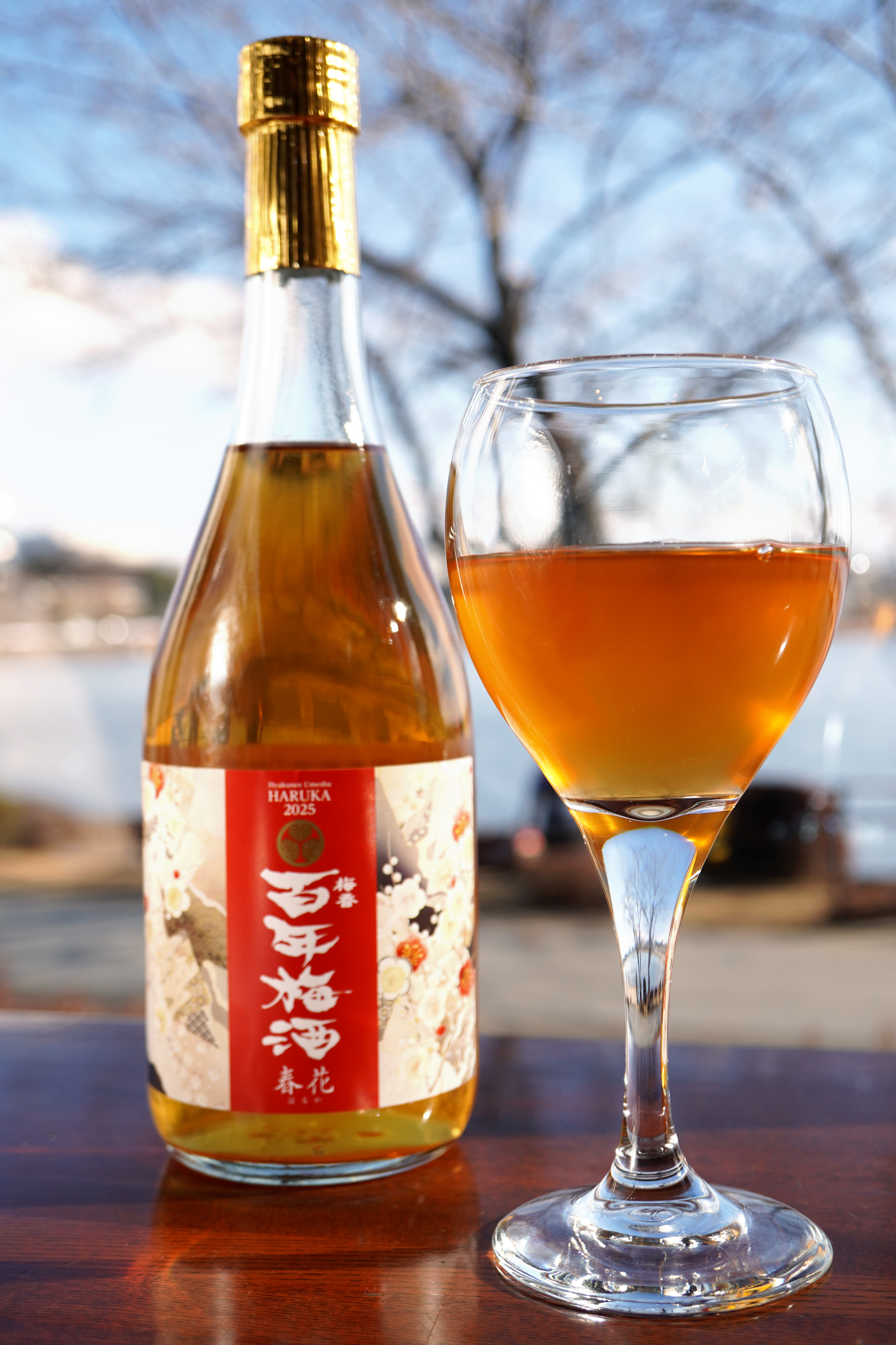 「百年梅酒 春花 2025」が新発売。日本一に輝いた百年梅酒を“梅酒ヌーボー”で楽しむ限定モデルは２月3日(月)全国販売開始！