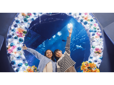 【DMMかりゆし水族館】沖縄の水族館で特別なクリスマス体験！「DMMかりゆし水族館クリスマスドリーム 」...