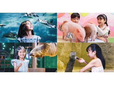 【DMMかりゆし水族館】ゴールデンウィーク期間(12日間)の入館者数が過去最高の3万人強を達成!