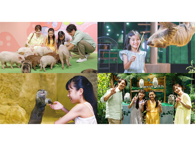 【DMMかりゆし水族館】沖縄県内の保育園・小学校・中学校の遠足・社会見学用スクール入館チケット（1人50...
