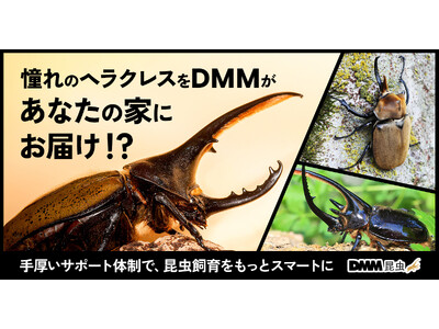 DMM���w���N���X�I�I�J�u�g�����Ȃ��̉Ƃɂ��͂�..!? �J�u�g���V�ʔ̃T�[�r�X�uDMM�����v��4��1���i���j���񋟊J�n