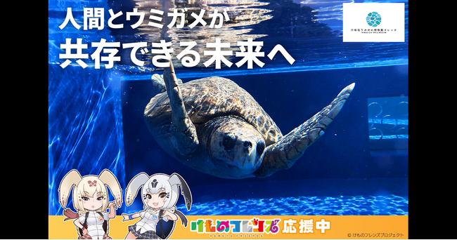 【DMM 地方創生】日本唯一のうみがめ博物館「カレッタ」のクラウドファンディングを、DMMが伴走支援！