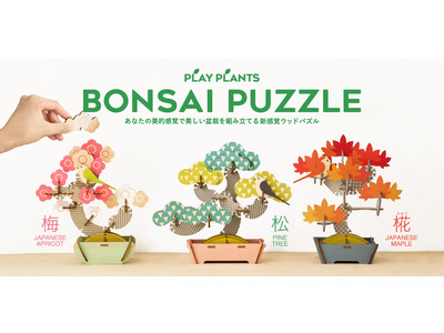 組み合わせ無限大のパズル！？あなたの「美的センス」を形にする新感覚のウッドパズル『BONSAI PUZZLE（ボンサイ パズル）』発売決定！