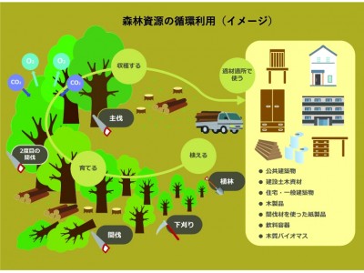 【日本初！】 CLTの活用方法を技術提供するフランチャイズが登場！