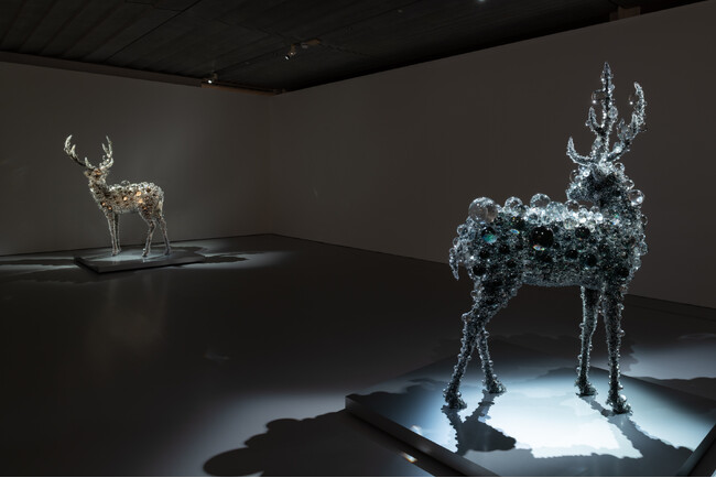 箱根、ポーラ美術館にて「SPRING わきあがる鼓動」、HIRAKU Project Vol.17 ヤマダカズキ「地に木霊す」開幕