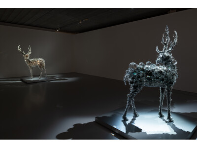 箱根、ポーラ美術館にて「SPRING わきあがる鼓動」、HIRAKU Project Vol.17 ヤマダカズキ「地に木霊す」開幕