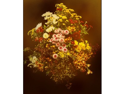 近代の巨匠による油彩画とフラワーアーティスト東信のコラボレーション企画！黒田清輝、ルノワールが描いた花の時の流れを、移ろいゆく生花の映像で追う