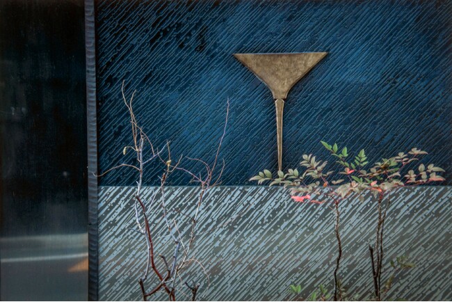 プレスリリース「アイデムフォトギャラリー［シリウス］写真集団・Eye's+ 写真展「IMA'25」期間：2025年5月15日（木）～5月21日（水）」のイメージ画像