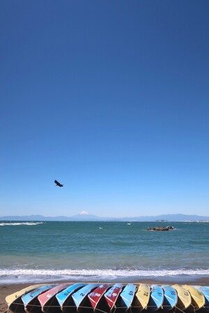 プレスリリース「アイデムフォトギャラリー［シリウス］DNP 写讃会(うつさんかい)写真展 「第19回展『季語のある風景II』」 期間：2025年9月18日（木）～9月24日（水）」のイメージ画像