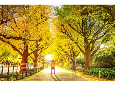 アイデムフォトギャラリー［シリウス］栗本智恵美 写真展 「風(かぜ) 人(びと)」 期間：2025年11月20日（木）～11月26日（水）