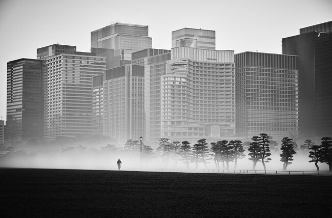 プレスリリース「アイデムフォトギャラリー［シリウス］柏木善郎 写真展「View of Silence 02」 期間：2026年1月29日（木）～2月4日（水）」のイメージ画像