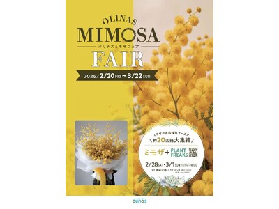 【開業20周年】オリナス錦糸町が“黄色に染まる”32日間。館内飲食10店舗がミモザカラーの特別メニューを展開。さらに多肉植物即売会も同時開催。
