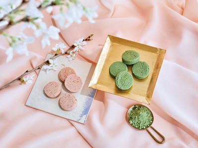 移りゆく四季を味わうチョコレート【四季とメゾン】春は桜スイーツが3/16（水）より順次登場いたします。