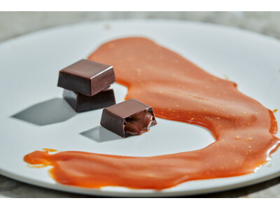 チョコレートバンクの2026年新コレクション【SAFARI】。コロンビアの豊かな生態系から生み出されるカ...