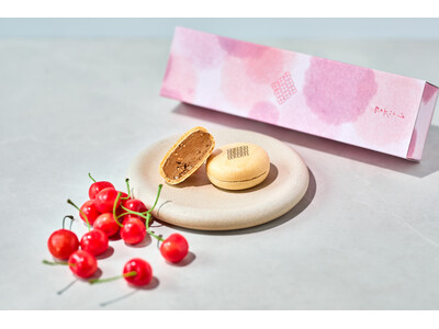 贈り物の名作として愛される【カカオハナレ】の「団らんモナカ」。春の装いで定番のチョコレートと、限定のさくらんぼの味わいが登場