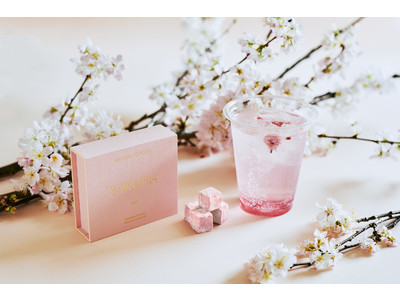 お店にいながらお花見体験！四季折々の文化と情緒を味わうチョコレート【四季とメゾン】がスタート。第一弾は3/26（金）より桜スイーツが登場。
