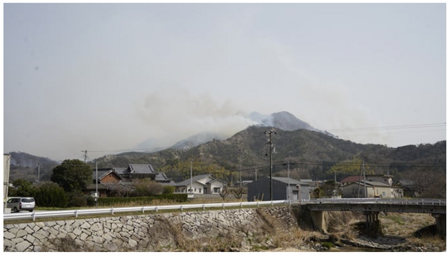 トラストバンク、ふるさとチョイス災害支援で、令和7年林野火災により被害を受けた愛媛県今治市へのふるさと納税、福井県坂井市が代理寄付を受付開始