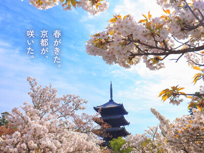 桜・椿・梅が彩る花の都、京都で心ゆくまで花を愛でる「特別拝観」と光・音・香の演出による「夜桜アートライト...