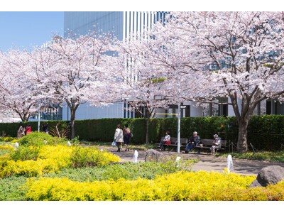 【東京ミッドタウン】ミッドタウン・ガーデンを彩る花々とアートを楽しむ春散歩「MIDTOWN BLOSSO...