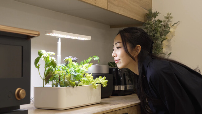 部屋を家庭菜園に変える、水耕栽培機「水の庭」を12/19新発表