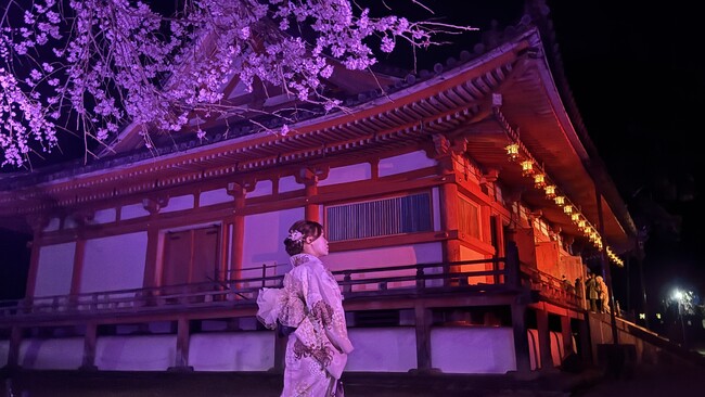 プレスリリース「【京都・春の体験】世界遺産・醍醐寺の夜桜を、艶やかな着物姿で。「NAKED meets 世界遺産 醍醐寺」を楽しむ着物レンタルプランを提案」のイメージ画像