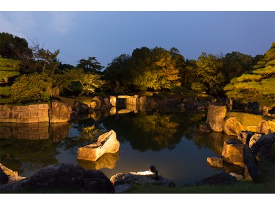 夜空を見上げて笹に願いを記す！今年も「京の七夕」で京都着物レンタル「夢館」はお得な特典を提供！さぁ浴衣でおでかけしませんか？