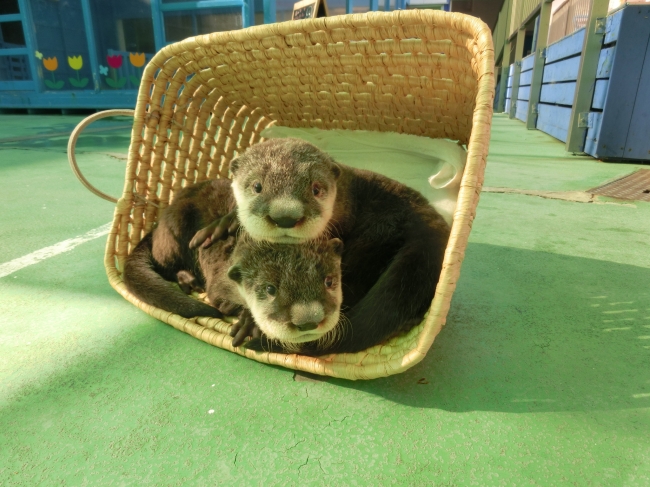 財経新聞
