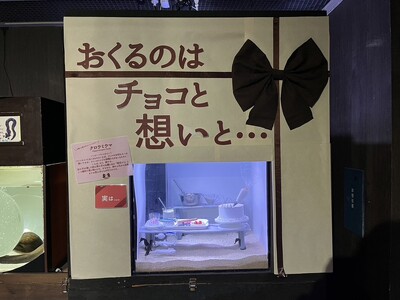 【バレンタインデーに贈る】愛を育む伊勢シーパラダイスのふれあい体験