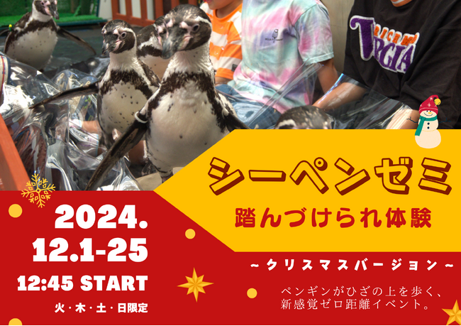 ペンギンが膝の上を歩く!? ゼロ距離で学ぶ特別授業が再び開講！