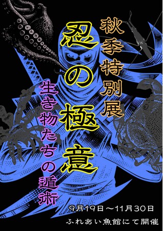 砂に潜る、姿を隠す、身代わりも！？ 特別展「忍の極意～生き物たちの遁術～」期間限定開催