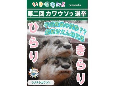 【選挙速報】第二回カワウソゥ選挙・先行結果発表イベント IN 伊勢シーパラダイスを開催！→2018年10月20日（土）15：00～