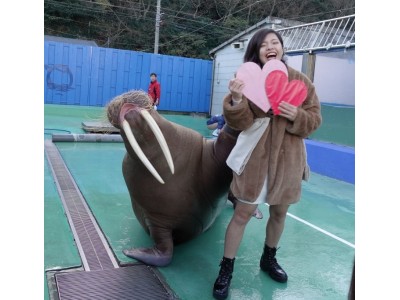 恋のパワースポットでおまじない 水族館 伊勢シーパラダイスで恋の応援イベント開催中 企業リリース 日刊工業新聞 電子版