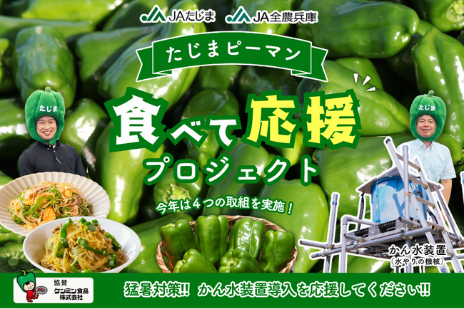 神戸創業のケンミン食品、但馬のピーマン生産者支援に参画「食べて応援」で猛暑に負けない産地づくりを後押し