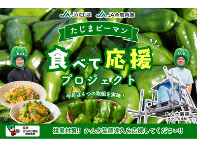 神戸創業のケンミン食品、但馬のピーマン生産者支援に参画「食べて応援」で猛暑に負けない産地づくりを後押し