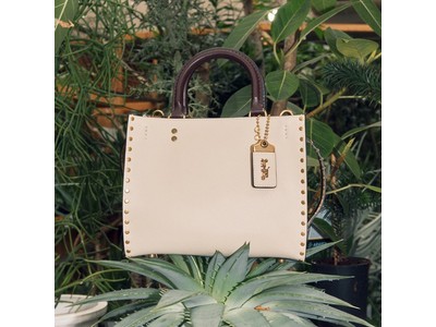 コーチ、秋を彩る新作 