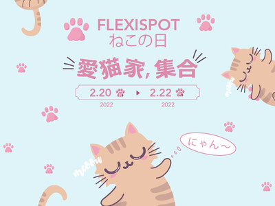 【猫の日】FlexiSpot「猫の日」特別セール開催！新しい動画とキャンペーンも用意！ぜひごチェックを！