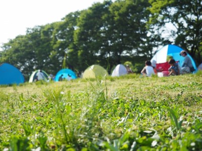 【参加者募集！】英語で親しむ！体感する！生物多様性　～ ENGLISH NATURE SCHOOL in 千葉～