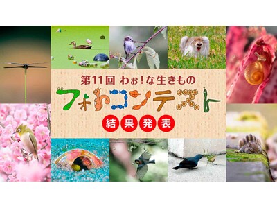 �u��P�P��킧�I�Ȑ������̃t�H�g�R���e�X�g�v�O�����v�����\