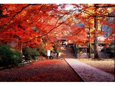 日本紅葉百選 にも選ばれた紅葉の名所として人気の佐賀県基山町 大興善寺で 開創千三百年祭 開催されます 企業リリース 日刊工業新聞 電子版