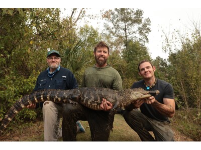 �l�Ԃ̍s���E�������y�ڂ������R�E�ւ̉e���Ƃ́c�����ُ̈�s�����Ȋw�I�w�i����𖾂���Ռ��̐V�ԑg�u�쐶�̒��Ł`�򕨂ɐN���ꂽ���������`�v3��18��(��)22�����A�j�}���v���l�b�g�ɂĕ����J�n�I