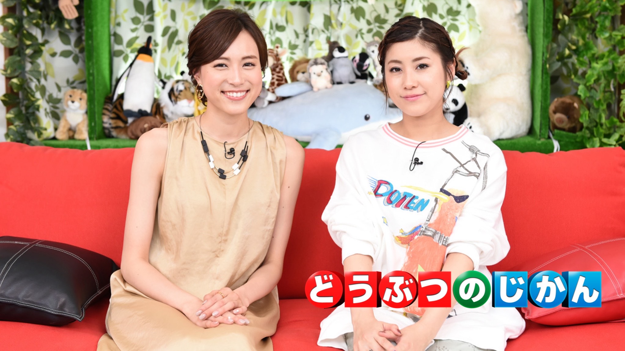 【アニマルプラネット9月のおすすめ番組】「かわいいアニマル大集合！どうぶつのじ…