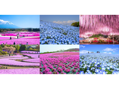 インバウンド向け体験コンテンツ「Wander Japan」、日本の春を堪能できる“Spring Flow...