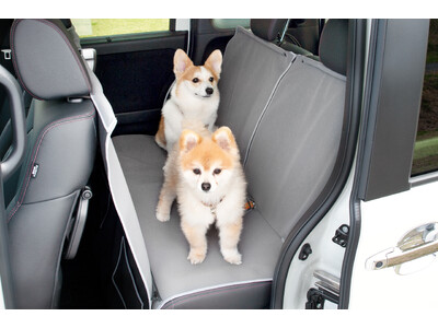 Honda Dog「アウトドアドッグフェスタin八ヶ岳 2025」出展概要
