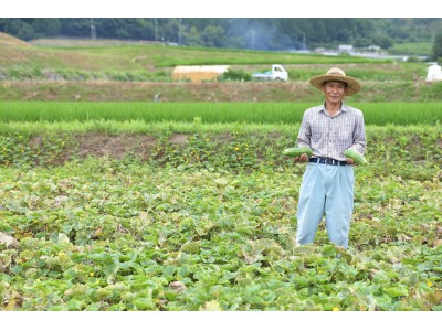 大阪府河南町、ご当地食材「なにわ伝統野菜」を用いたレシピ本を製作するふるさと納税ガバメントクラウドファンディングを開始