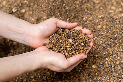 コーヒーかすを活用した飼料化で「循環酪農」へ