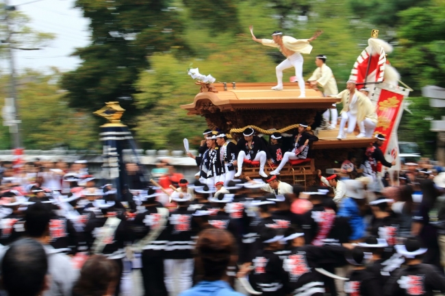 市民が自分たちで運営する勇猛なお祭 平成29年度岸和田だんじり祭 開催 自主運営 自主規制 自主警備 で結ばれる固い絆 情に厚い岸和田を感じてください 記事詳細 Infoseekニュース