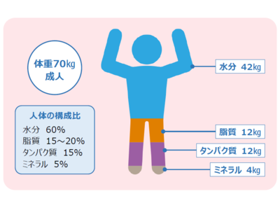 吸収性を最適化した「Jellicol Meta（ジェリコールメタ）」を発表